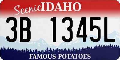 ID license plate 3B1345L