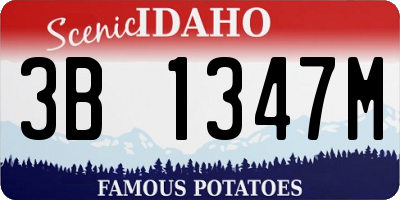 ID license plate 3B1347M