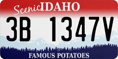 ID license plate 3B1347V