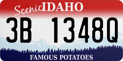 ID license plate 3B1348Q