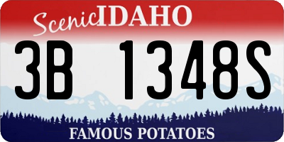 ID license plate 3B1348S