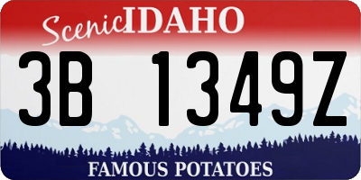ID license plate 3B1349Z
