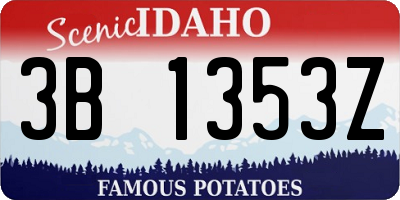 ID license plate 3B1353Z