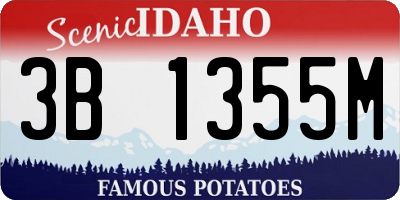 ID license plate 3B1355M