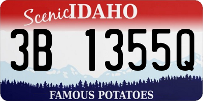 ID license plate 3B1355Q