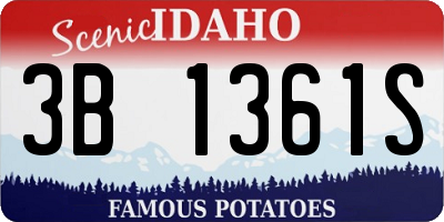 ID license plate 3B1361S