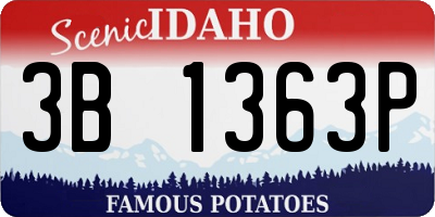 ID license plate 3B1363P