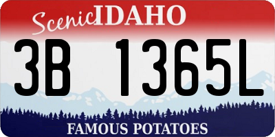 ID license plate 3B1365L