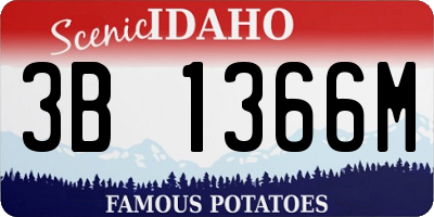 ID license plate 3B1366M