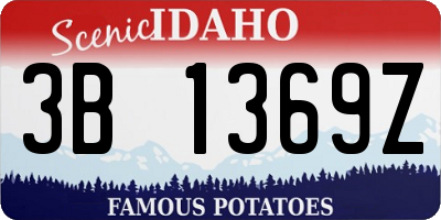 ID license plate 3B1369Z