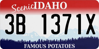 ID license plate 3B1371X