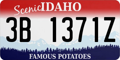 ID license plate 3B1371Z