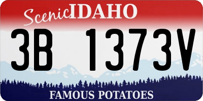 ID license plate 3B1373V