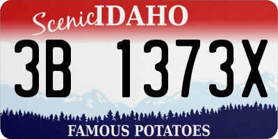 ID license plate 3B1373X