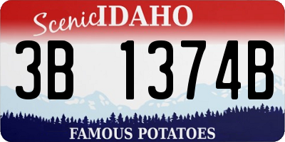 ID license plate 3B1374B