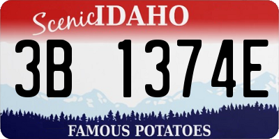 ID license plate 3B1374E