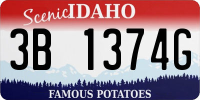 ID license plate 3B1374G