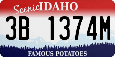 ID license plate 3B1374M