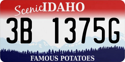 ID license plate 3B1375G