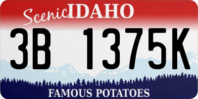 ID license plate 3B1375K