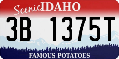 ID license plate 3B1375T