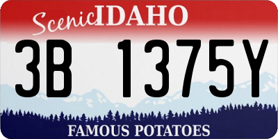 ID license plate 3B1375Y