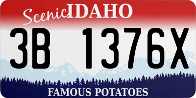 ID license plate 3B1376X