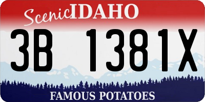 ID license plate 3B1381X