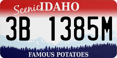 ID license plate 3B1385M