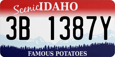 ID license plate 3B1387Y