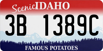 ID license plate 3B1389C