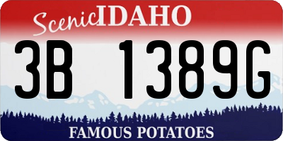 ID license plate 3B1389G