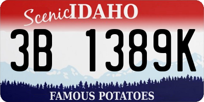 ID license plate 3B1389K