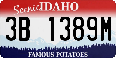ID license plate 3B1389M