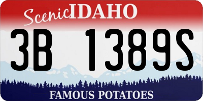 ID license plate 3B1389S