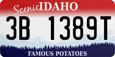 ID license plate 3B1389T