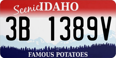 ID license plate 3B1389V