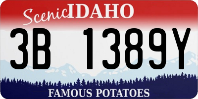 ID license plate 3B1389Y