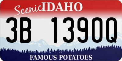 ID license plate 3B1390Q