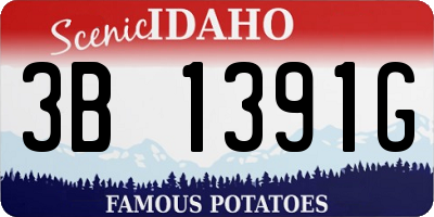ID license plate 3B1391G
