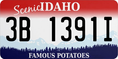 ID license plate 3B1391I