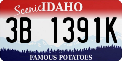 ID license plate 3B1391K