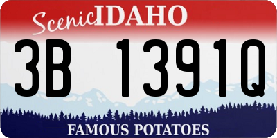 ID license plate 3B1391Q