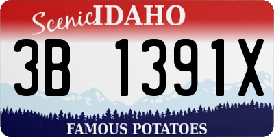 ID license plate 3B1391X
