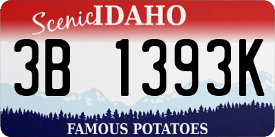 ID license plate 3B1393K