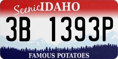 ID license plate 3B1393P