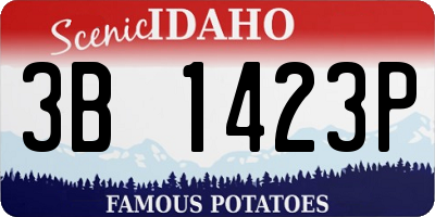 ID license plate 3B1423P