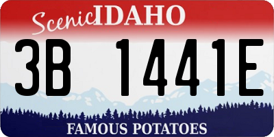 ID license plate 3B1441E