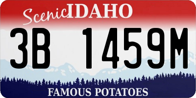 ID license plate 3B1459M