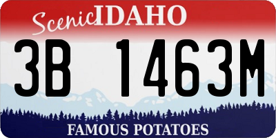 ID license plate 3B1463M
